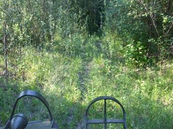 image009