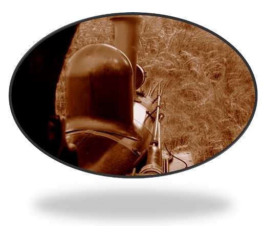 steaming_into_harvest